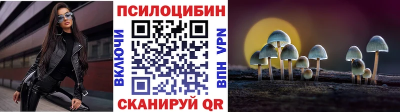 Псилоцибиновые грибы Psilocybe Малгобек